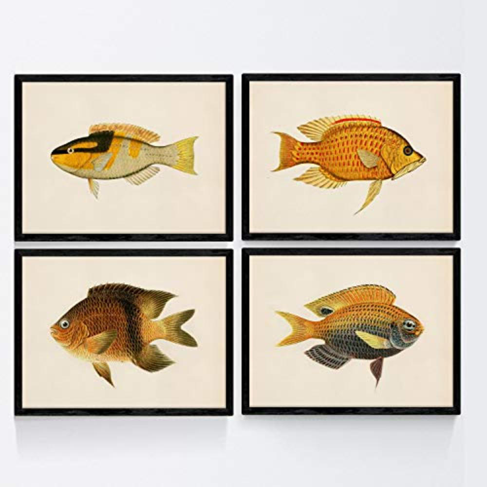 POSTER Set mit 4 Fischweinleseffekt Gelbfarben A3 Schwarzer Rahmen - Schwarz, Papier (29.7/3cm) - Nacnic