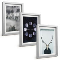 BILDER SET 3er Set - 20x30 cm Silberner Rahmen - Waldlandschaft, Nebel, Mond, Hirschschädel - Silberfarben, Kunststoff (20/30cm) - TULUP