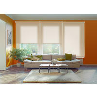 SEITENZUGROLLO lichtdurchlässig Ecofuture (100% Recyceltes Polyester) - Beige, Textil (105/250/250cm) - VIEWTEX