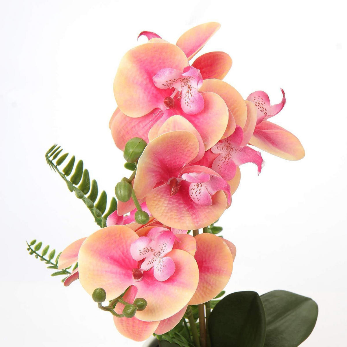 KUNSTBLUME Orchidee Phalaenopsis Weiß Rosa 40.5 cm - Multicolor, Keramik (27.9cm)