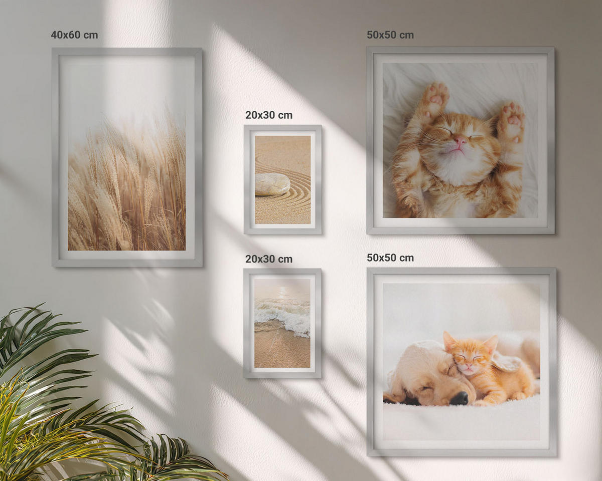 BILDER SET 5er Set - 50x50 cm & 20x30 cm & 40x60 cm Silberner Rahmen - Niedliche Tiere, Katzen, Hunde, Strand - Silberfarben, Kunststoff (40/60cm) - TULUP
