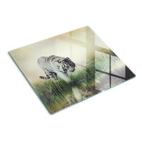 GLASPLATTE 60x52 cm Weißer Tiger - Dunkelbraun/Braun, Glas (60/0.4/52cm) - TULUP
