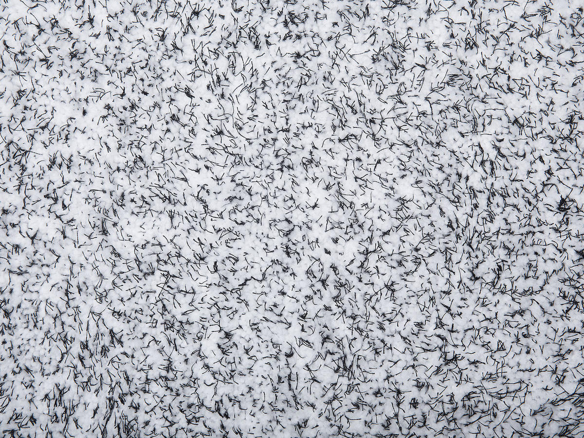 SHAGGY-TEPPICH Demre 200/200 cm - Schwarz, Kunststoff (200/200cm) - Beliani