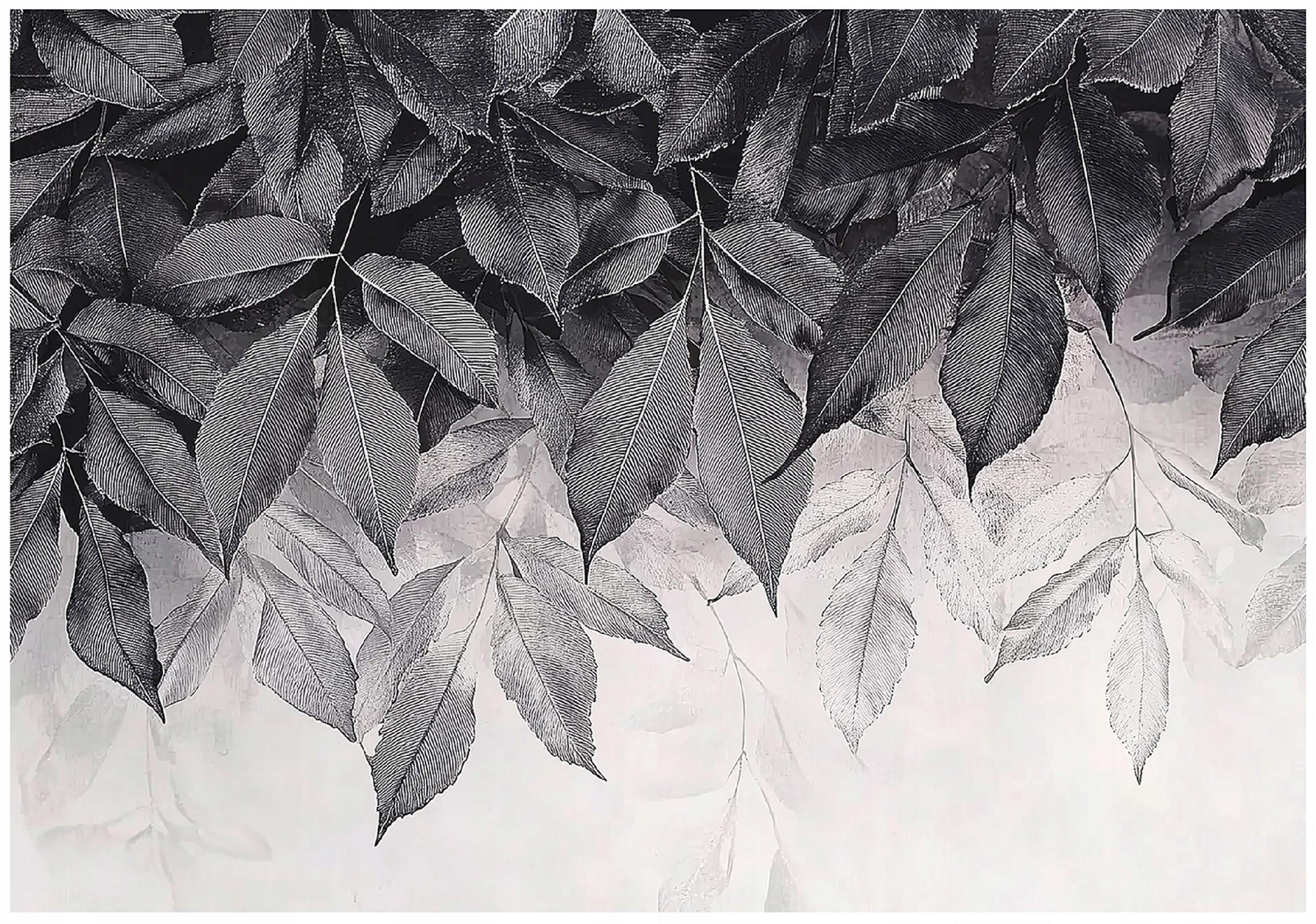 FOTOTAPETE Blätter Grau Natur Wohnzimmer Vlies Tapete 400x280 - Multicolor, Papier (400/280cm) - Wallarena
