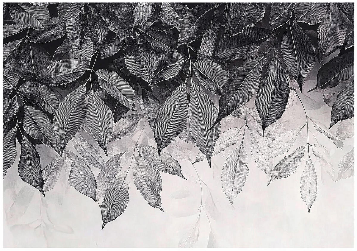 FOTOTAPETE Blätter Grau Natur Wohnzimmer Vlies Tapete 300x210 - Multicolor, Papier (300/210cm) - Wallarena