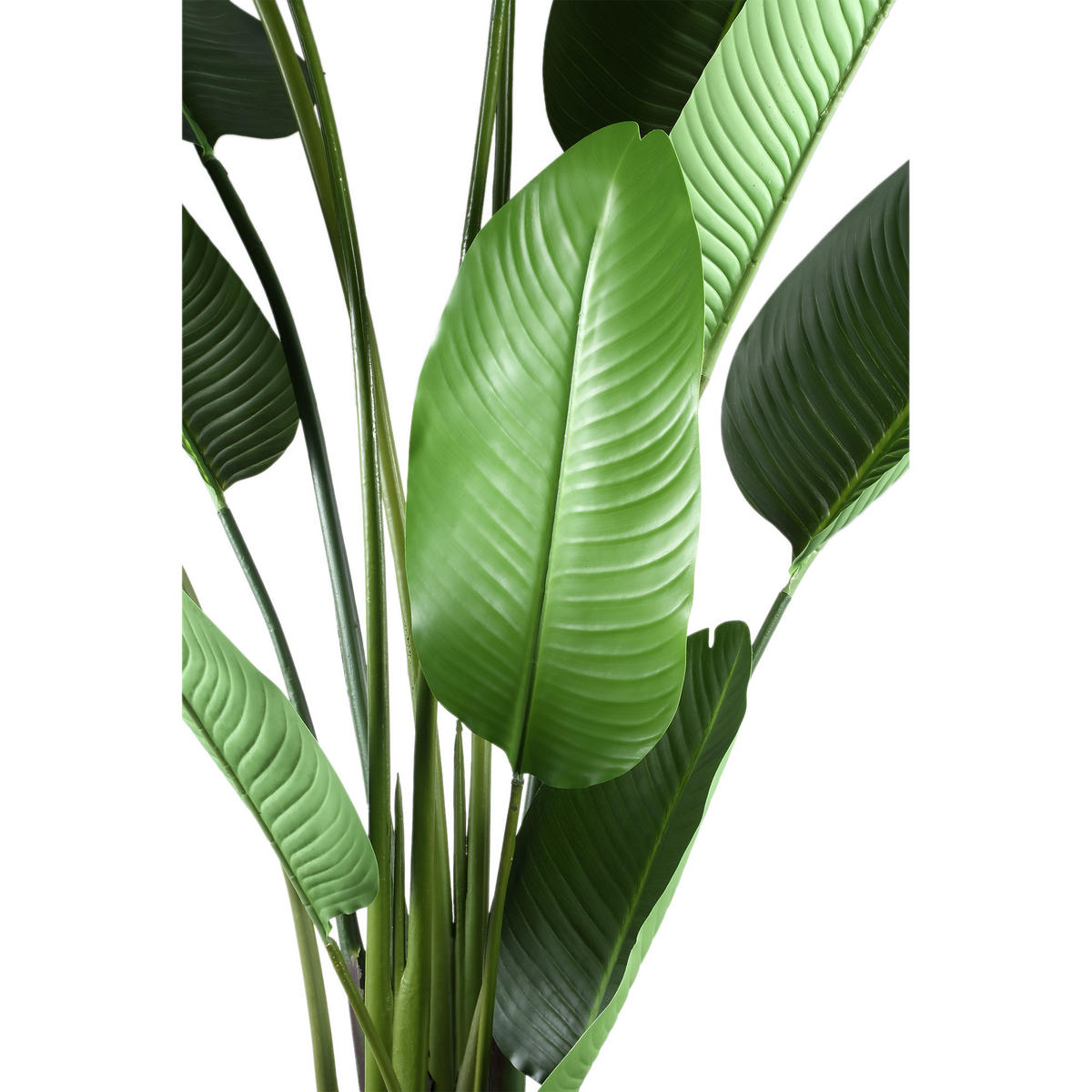 KUNSTPFLANZE Leaves Grün 110/63/235cm - Grün, Kunststoff/Stein (235cm) - PTMD Collection