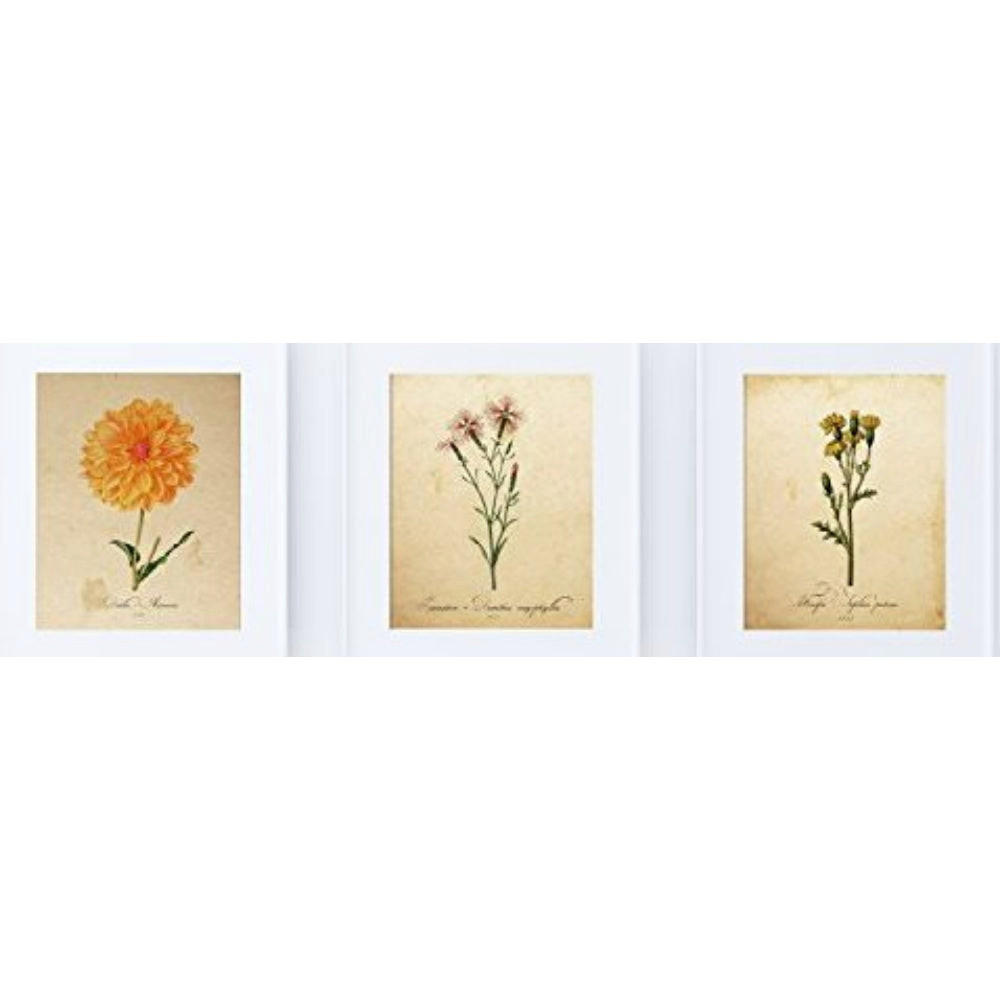 Nacnic Poster Klar 29.7x5x42 cm