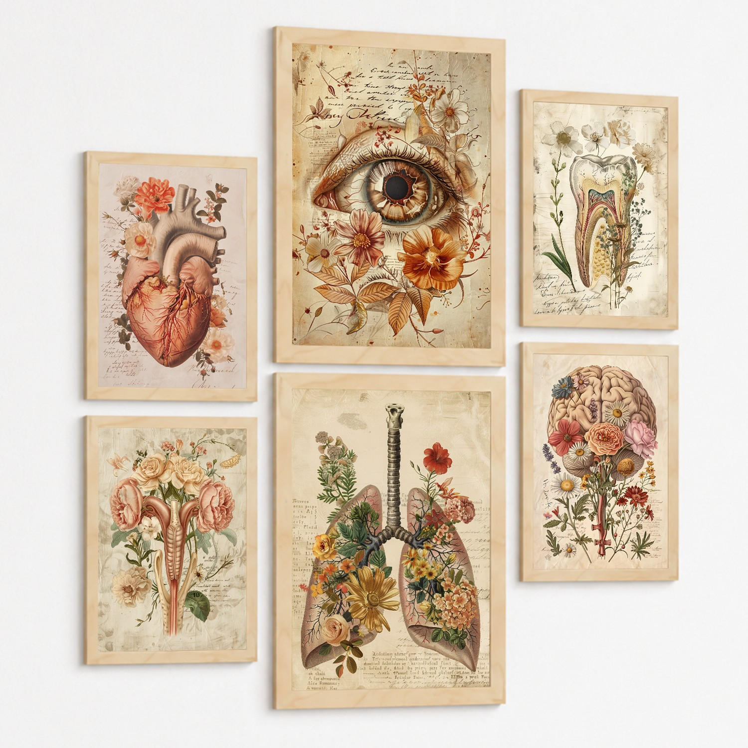 POSTER Kollektion aus 6 Anatomie Drucke und mit Herz Schädel Lungen Nieren und Gehirn Pergament Hintergrund dekoration Größe Schwarzer Rahmen A3 & A4 - Schwarz, Papier (29.7/42/3cm) - Nacnic