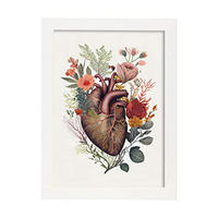 POSTER Anatomie Herz A4 Weißer Rahmen - Weiß, Papier (29.7/5/21cm) - Nacnic