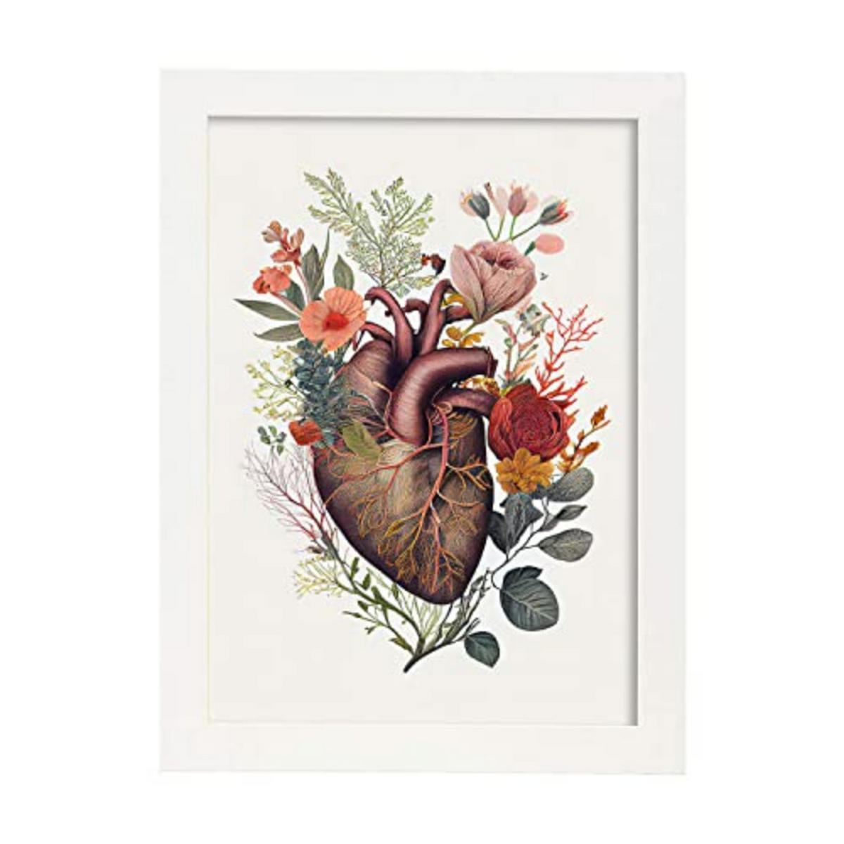 POSTER Anatomie Herz A4 Weißer Rahmen - Weiß, Papier (29.7/5/21cm) - Nacnic