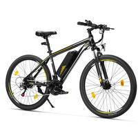 E-BIKE Touroll U1 26 – Kraftvoller Motor langlebige Reichweite - Graphitfarben, Metall (70cm)