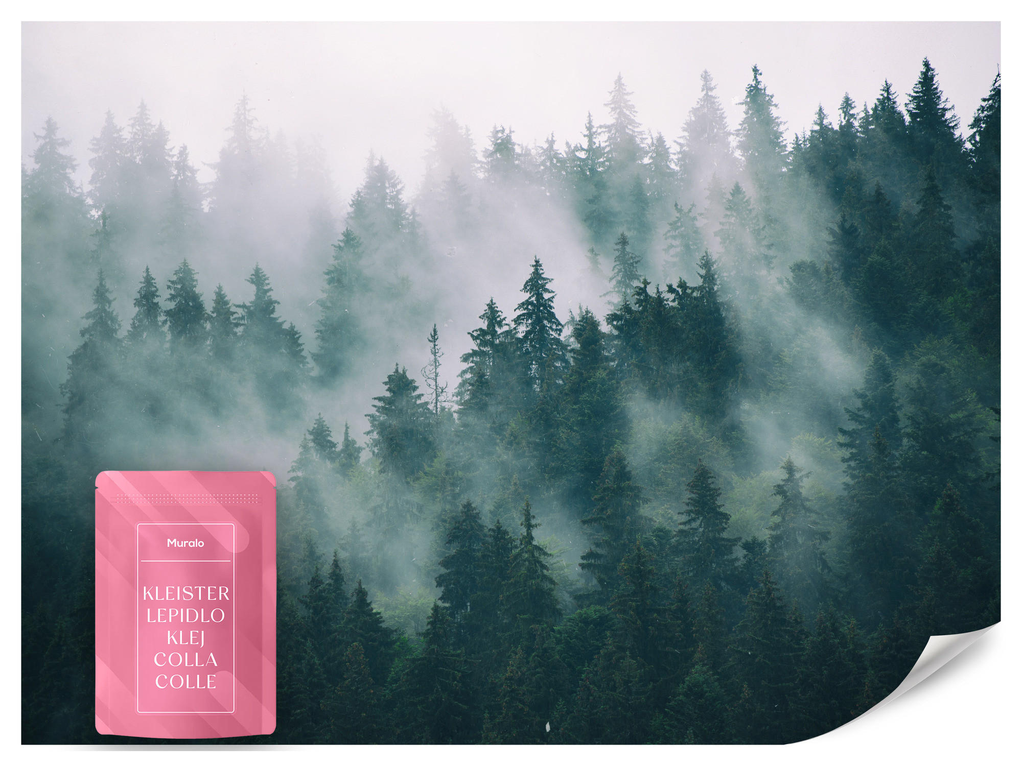 FOTOTAPETE Wald im Nebel Landschaft Natur 3D 400x280 - Türkis/Grau, Papier (400/280cm) - Muralo