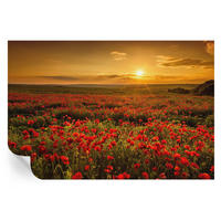 FOTOTAPETE 104x70 cm - Mohnfeld - Rot, Textil (104/70cm) - Wallfluent