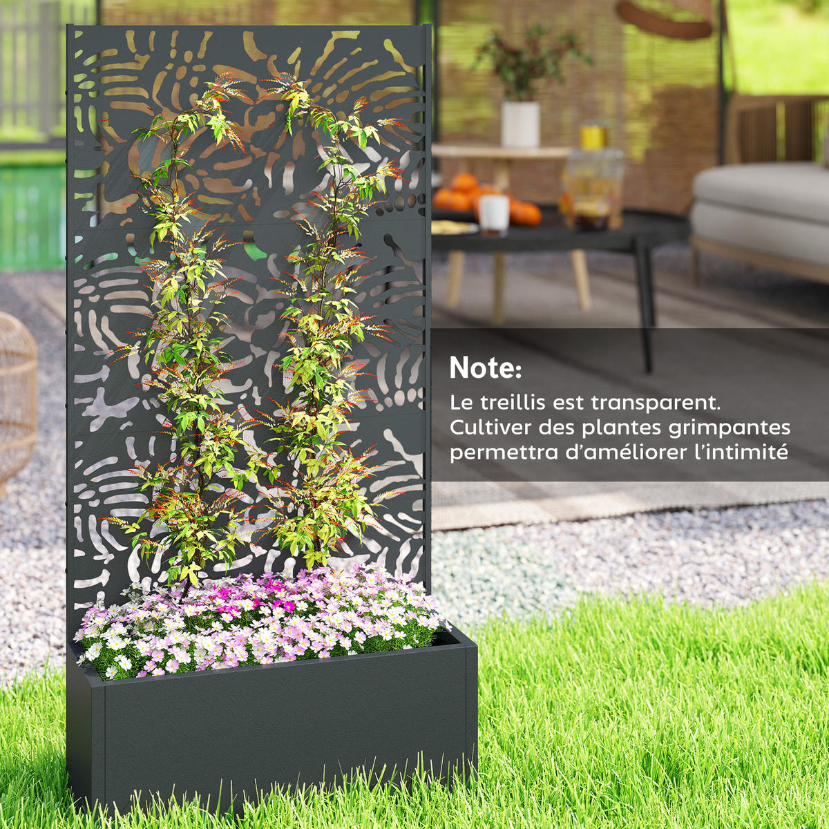 HOCHBEET DE-12277 2-in-1 mit Sichtschutz, 90/37,5/180 cm Schwarz - Schwarz, Metall (90/180/37.5cm) - ComfortXL