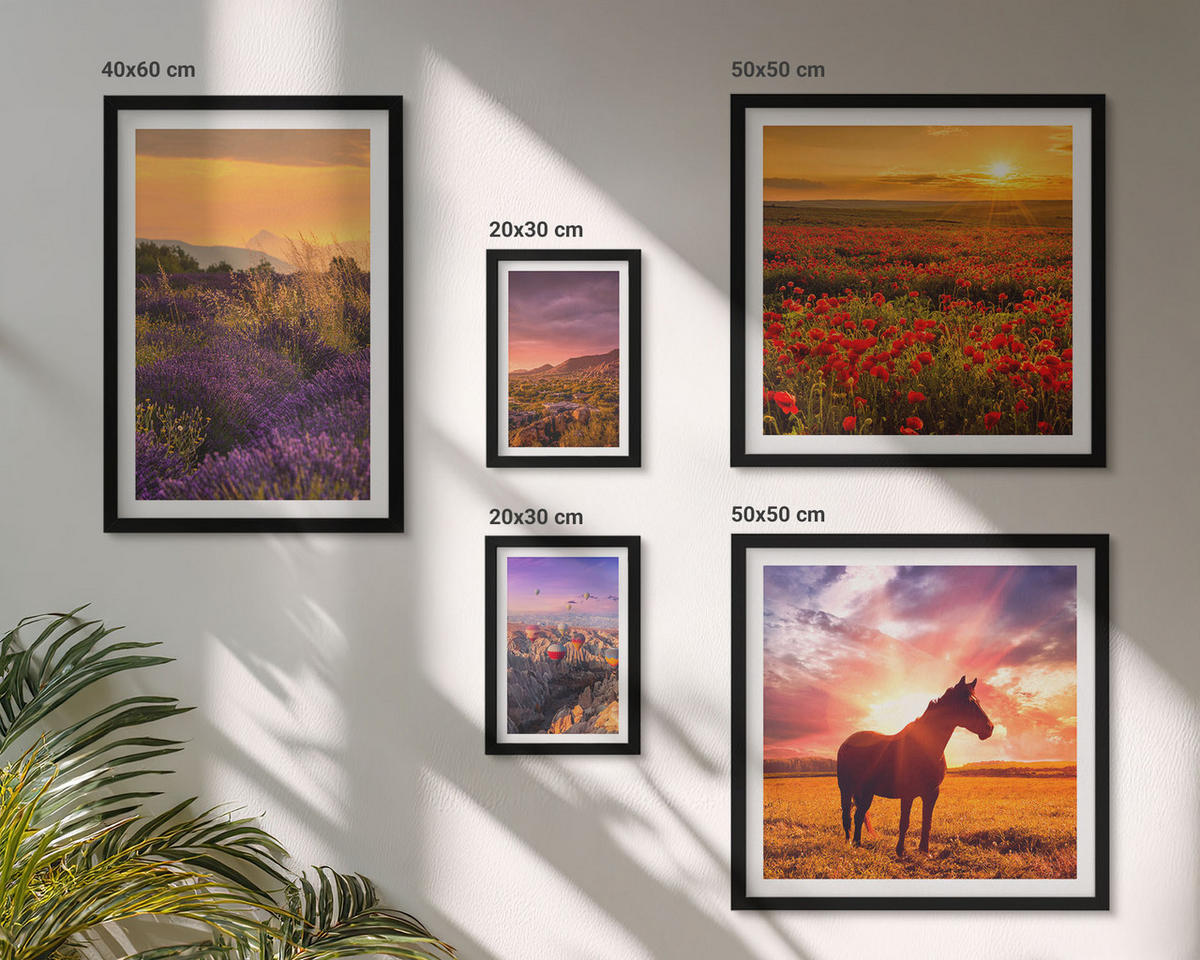BILDER SET 5er Set - 50x50 cm & 20x30 cm & 40x60 cm Schwarzer Rahmen - Berglandschaft Rosslavendel - Schwarz, Kunststoff (40/60cm) - TULUP