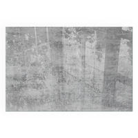 GLASPLATTE für Kamin 60x40 cm - Grau, Glas (60/40/0.4cm) - TULUP