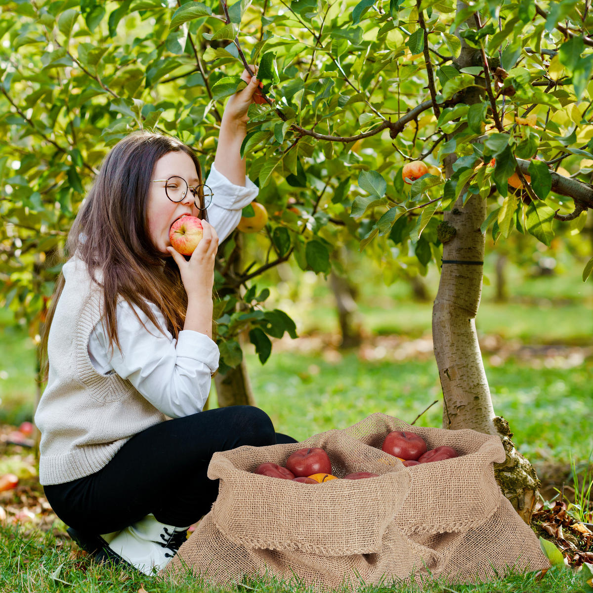 3XJUTOVÝ pytel - světle hnědá, textil (50/55/0.5cm) - Relaxdays