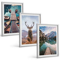 BILDER SET 3er Set - 40x60 cm Silberner Rahmen - Seeboote Hirsche Berge - Silberfarben, Kunststoff (40/60cm) - TULUP