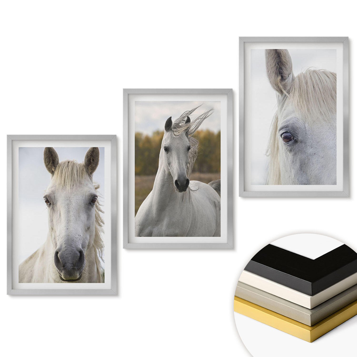 WANDBILDER 3er Set - 40x60 cm Silberner Rahmen - Weiße Pferde in der Natur - Silberfarben, Kunststoff (40/60cm) - ArtPrintCave