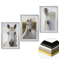 WANDBILDER 3er Set - 40x60 cm Silberner Rahmen - Weiße Pferde in der Natur - Silberfarben, Kunststoff (40/60cm) - ArtPrintCave