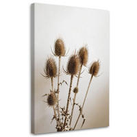 LEINWANDBILD Getrocknete Disteln Pflanzen in Beige 40x60cm - Beige, Textil (40/60cm) - Feeby