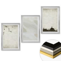WANDBILDER 3er Set - 40x60 cm Silberner Rahmen - Vögel, Steine, Pinselstriche, Verzierungen - Silberfarben, Kunststoff (40/60cm) - ArtPrintCave
