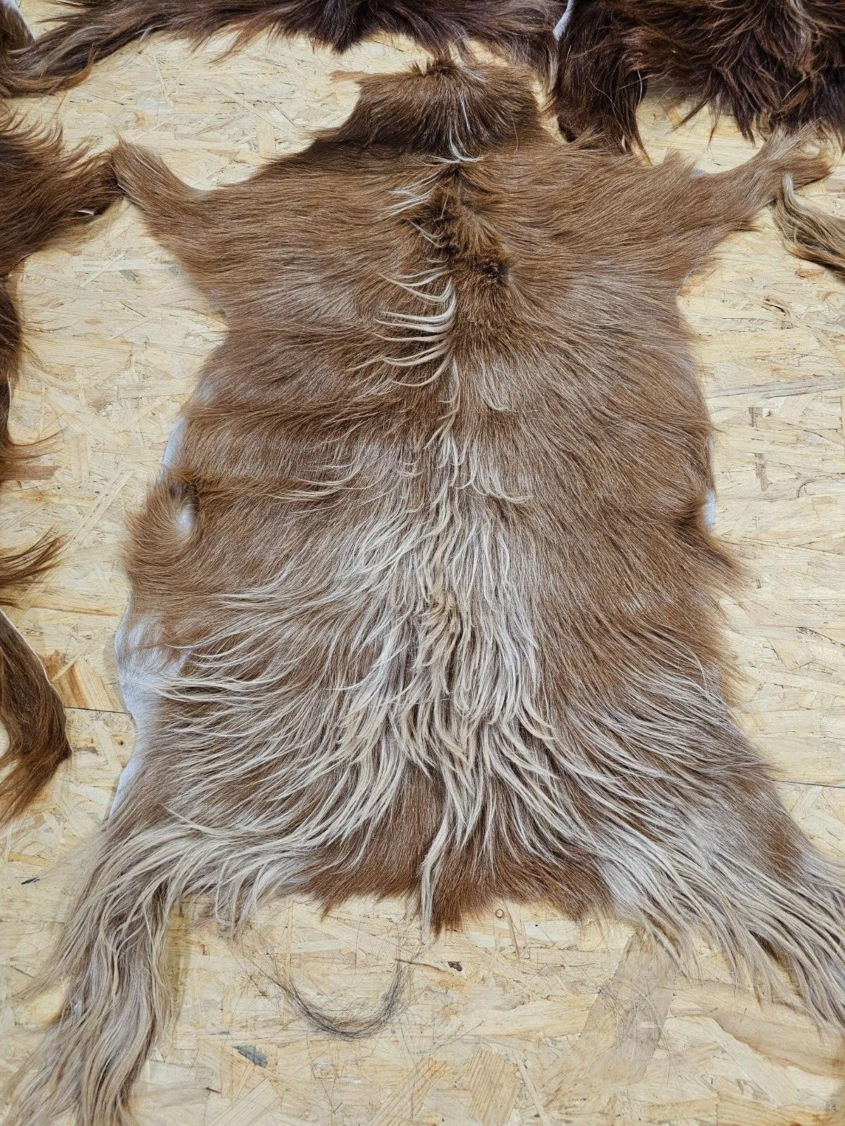 FELL Ziegenfell Braunlich Naturfarben Teppich ca. 90 cm 1.Wahl - Braun, Fell (50/90cm) - Provellus