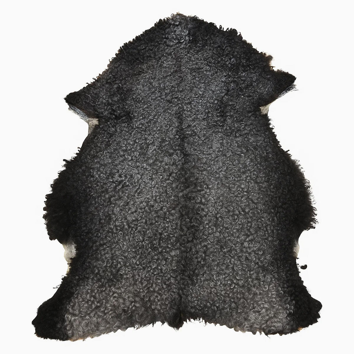 SCHAFFELL Gotland Naturgrau Lockig Unikat ca. 100 cm - Dunkelgrau, Fell (60/100cm) - Provellus