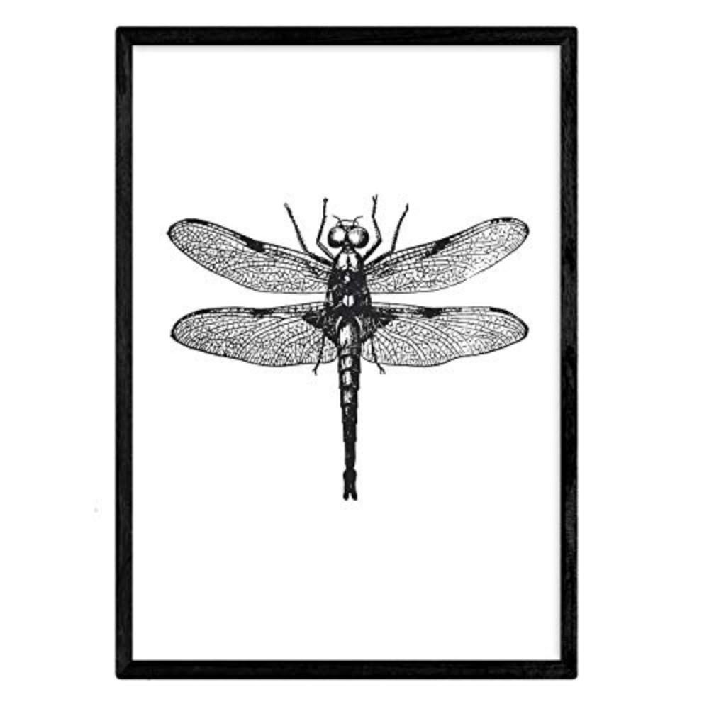 POSTER Libelula A4 Rahmenlos - Klar, Papier (29.7/5/21cm) - Nacnic