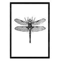 POSTER Libelula A4 Rahmenlos - Klar, Papier (29.7/5/21cm) - Nacnic