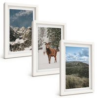 BILDER SET 3er Set - 20x30 cm Weißer Rahmen - Berge, Schnee, Hirsche, Waldlandschaft - Weiß, Kunststoff (20/30cm) - TULUP