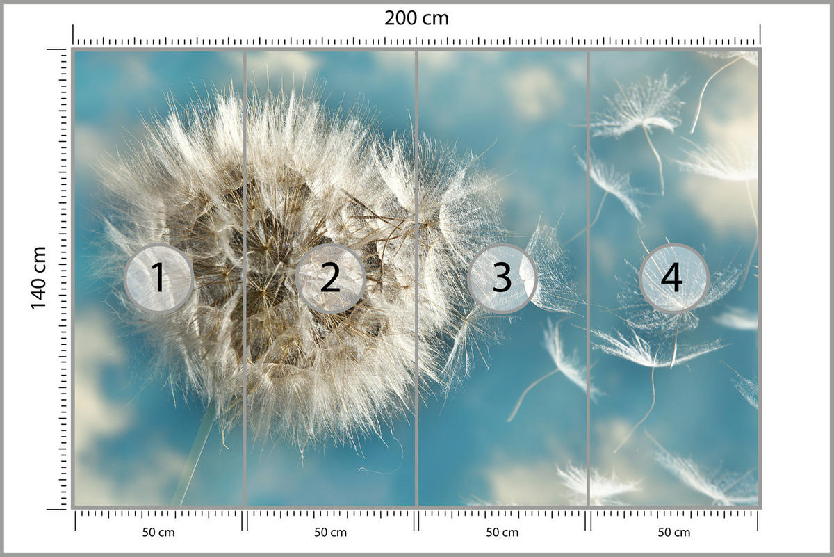 FOTOTAPETA Pre Spálňu Púpava Vo Vetre Ľahká Dynamická 200 x 140 cm - modrá/biela, papier (200/140cm) - Muralo