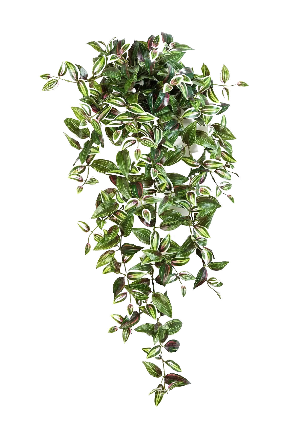 KUNSTPFLANZE Künstliches Zebrakraut - Alina 70 cm - Grün, Kunststoff (70cm) - aplanta