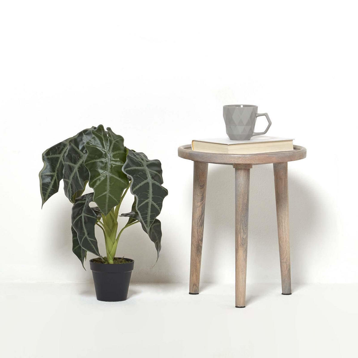 KUNSTPFLANZE Alocasia, 50 cm - Grün, Kunststoff (50cm) - Homescapes