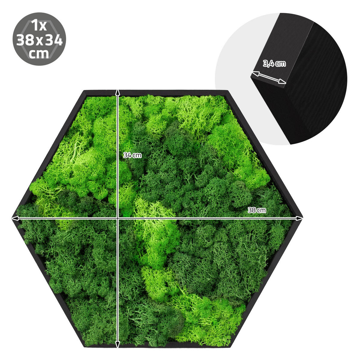 MOOSBILD Hexagon 38x34 cm Mooswand Indoor mit echtem Islandmoos und Holzrahmen Grün Pflegefrei - Hellgrün, Naturmaterialien (38/34/3.4cm) - ECD-Germany
