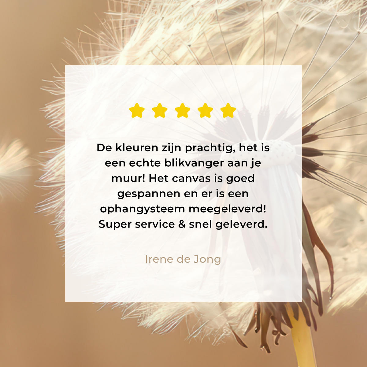 LEINWANDBILD Löwenzahn - Beige - Natur - Blume Wandbilder 80x60 cm - Hellbraun, Textil (80/60cm) - MuchoWow