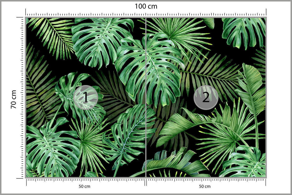 FOTOTAPETE für Schlafzimmer Exotische Grüne Monstera Palmen 100x70 - Schwarz/Grün, Papier (100/70cm) - Muralo