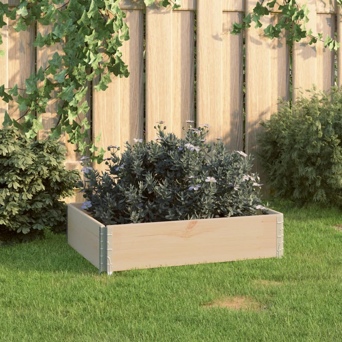 HOCHBEET 60x80 cm Kiefer Massivholz - Braun, Holz (80/19/60cm) - furnicato