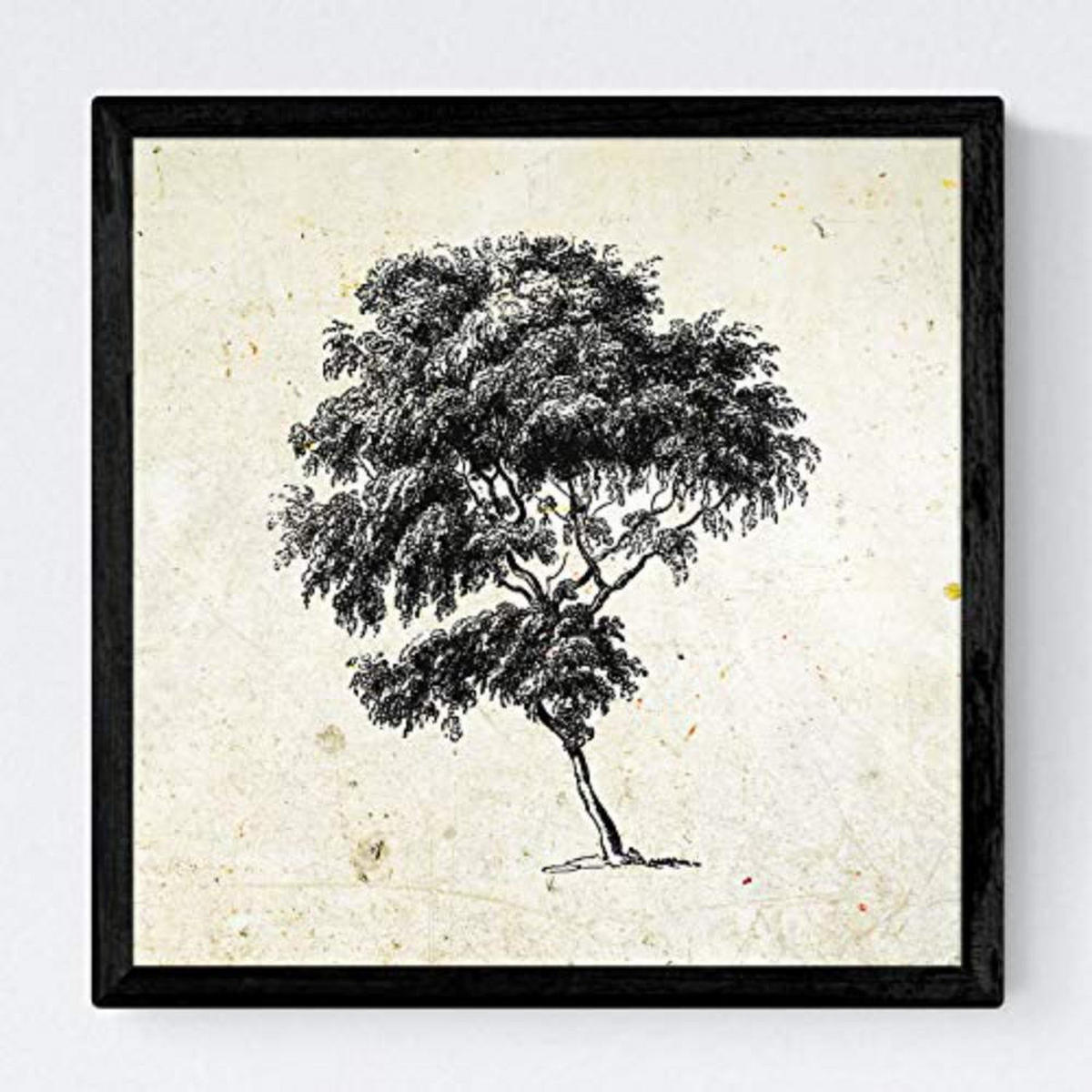 POSTER Set mit 4 Blättern der Bäume struktur 20x20cm Schwarzer Rahmen - Schwarz, Papier (20/3cm) - Nacnic