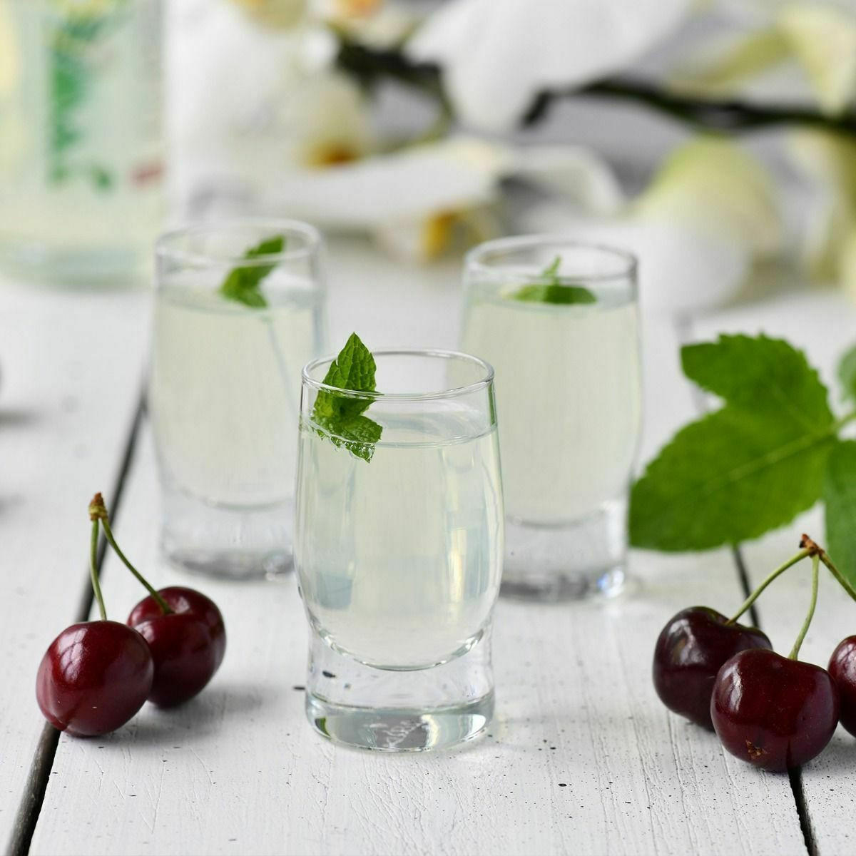 SCHNAPSGLÄSER, 6er-Set, 50 ml - Transparent, Glas (0.05L) - Krosno Glass