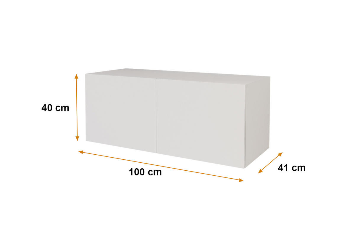 LOWBOARD ELIO-W 100x40x41 cm - Weiß - Weiß, Holzwerkstoff (100/40/41cm) - ALTDECOR