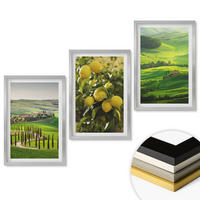 WANDBILDER 3er Set - 40x60 cm Silberner Rahmen - Italienische Zitrusfrüchte und Hügel - Silberfarben, Kunststoff (40/60cm) - ArtPrintCave