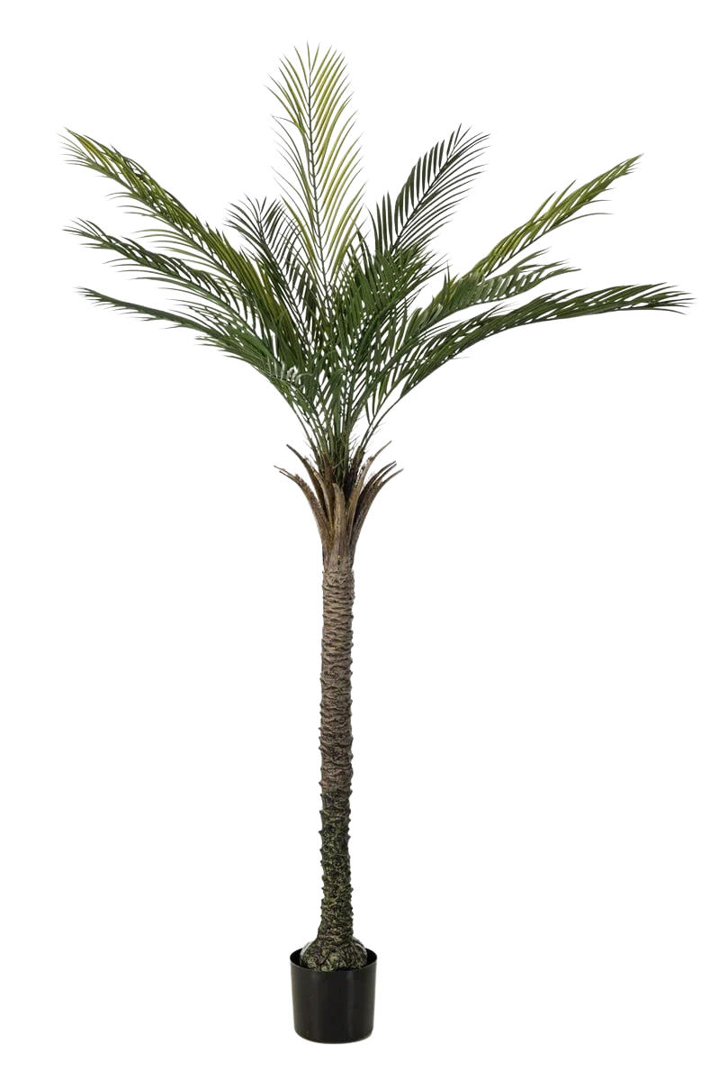 KÜNSTLICHE Palme - Pitus 180 cm - Grün, Kunststoff (180cm) - Emerald