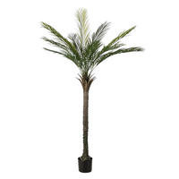 KÜNSTLICHE Palme - Pitus 180 cm - Grün, Kunststoff (180cm) - Emerald