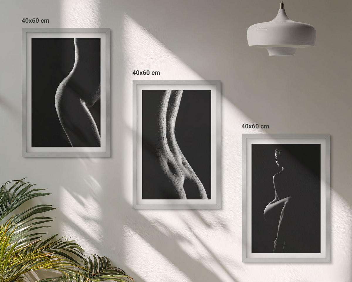 BILDER SET 3er Set - 40x60 cm Silberner Rahmen - Schwarz-weiße weibliche Silhouetten - Silberfarben, Kunststoff (40/60cm) - TULUP