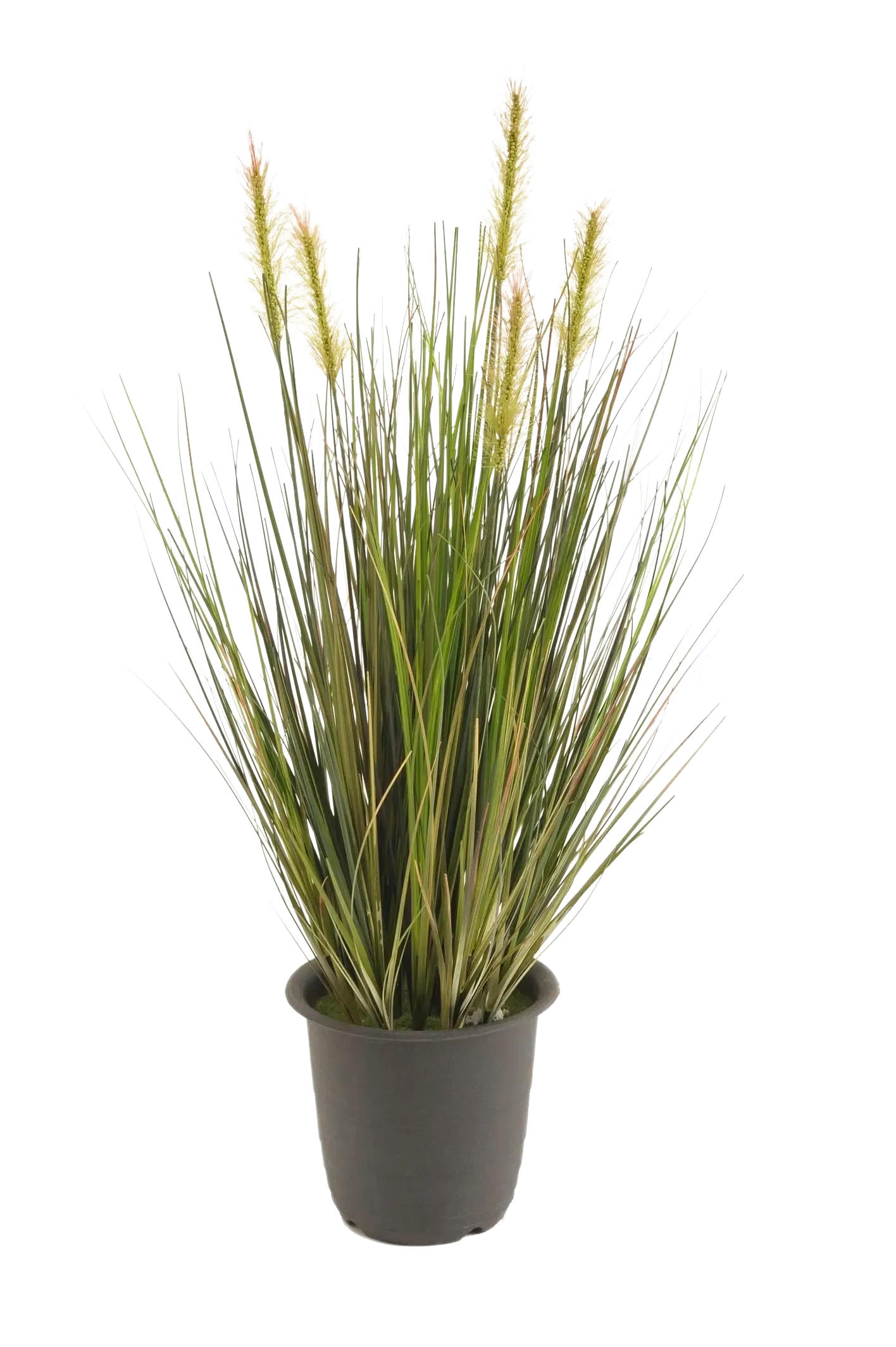 GRÄSER Künstliches Gras - Theodor 45 cm - Grün, Kunststoff (45cm) - Emerald