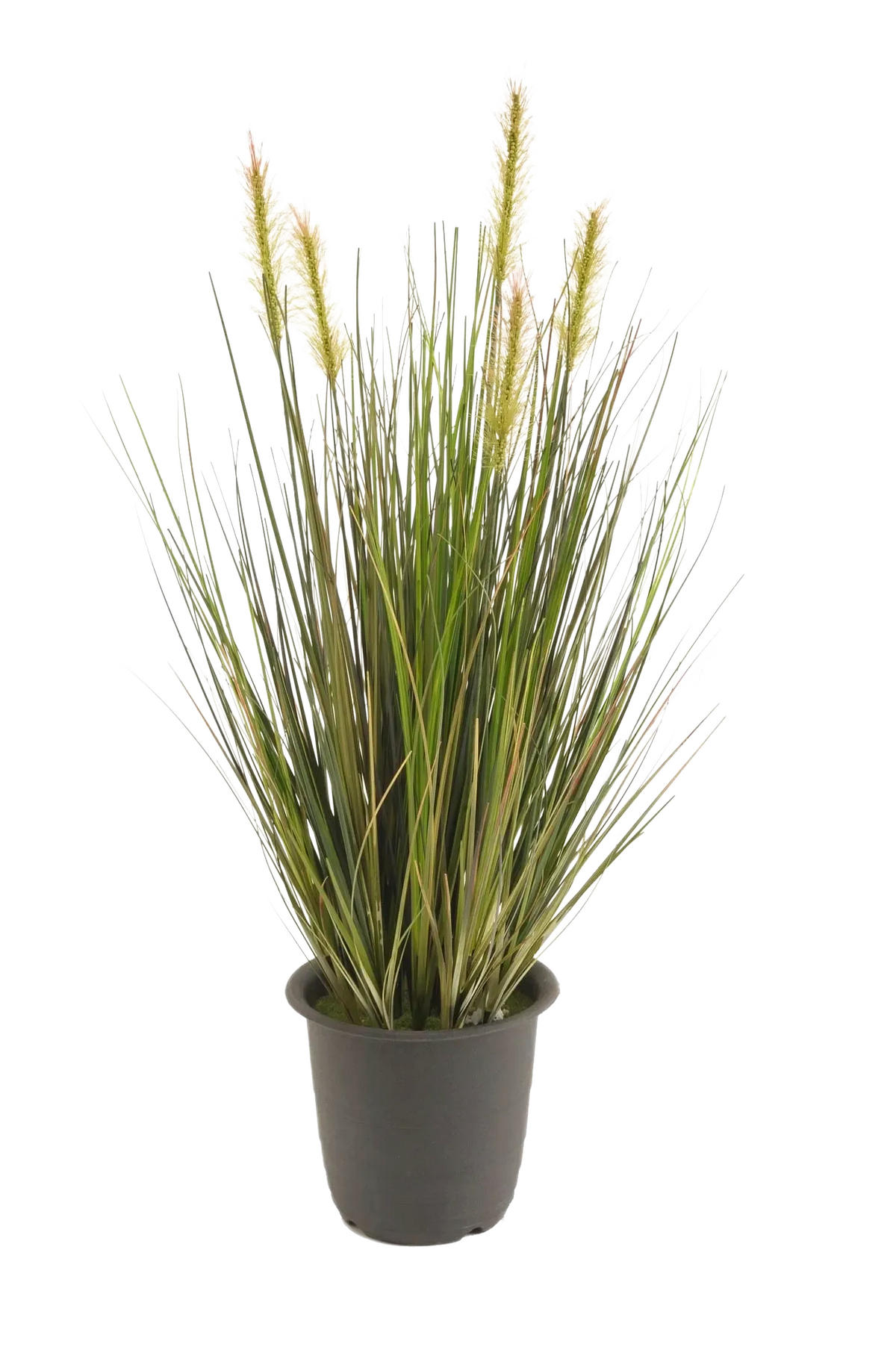 GRÄSER Künstliches Gras - Theodor 45 cm - Grün, Kunststoff (45cm) - Emerald