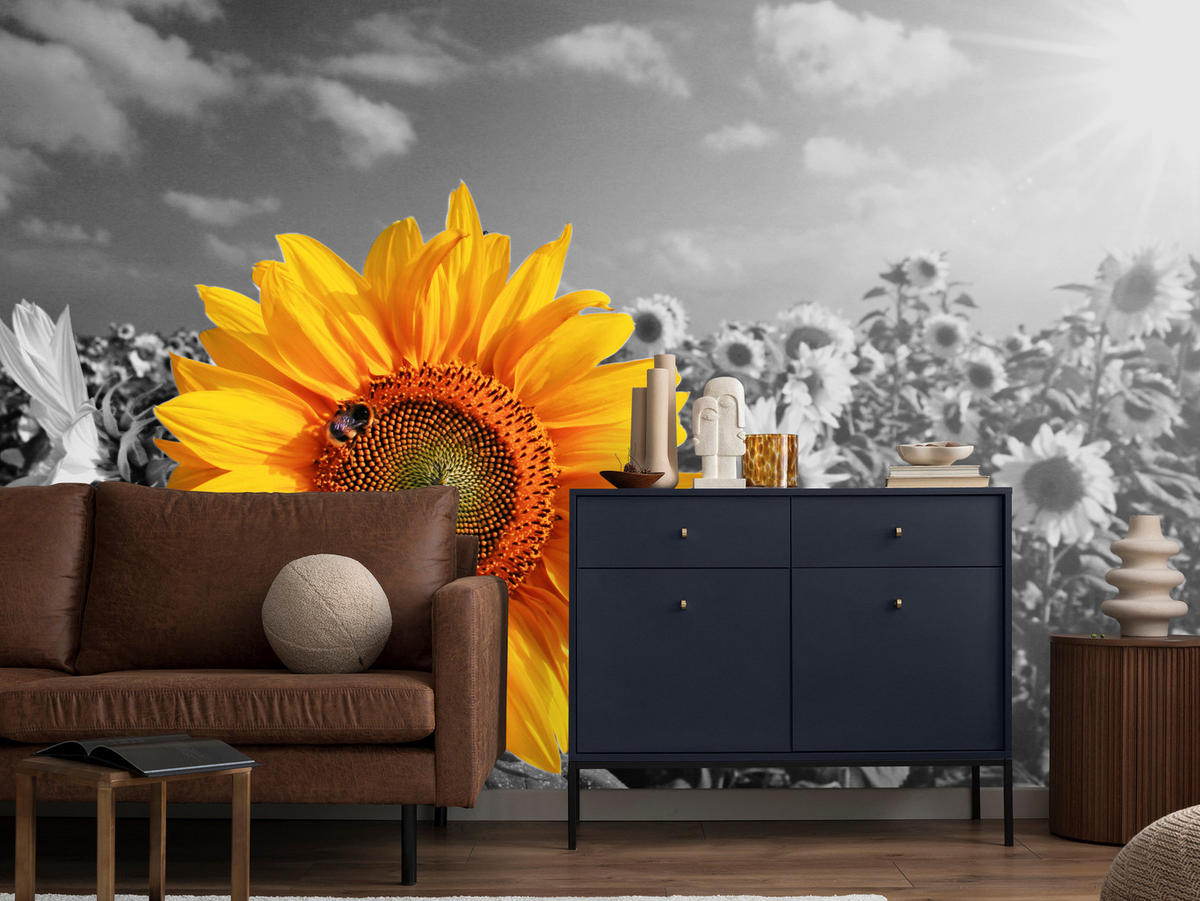 FOTOTAPETE für Küche Gelber Sonnenblume Schwarz-Weiß Hintergrund 400x280 - Gelb/Orange, Papier (400/280cm) - Muralo