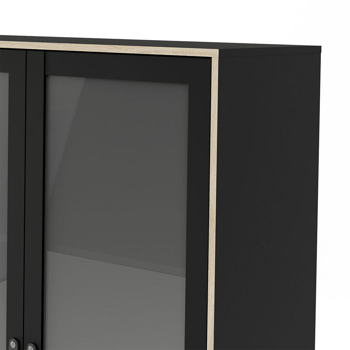 VITRINE Sady Schwarz 99/40/190 cm - Schwarz, Holzwerkstoff (99/190/40cm) - ebuy24