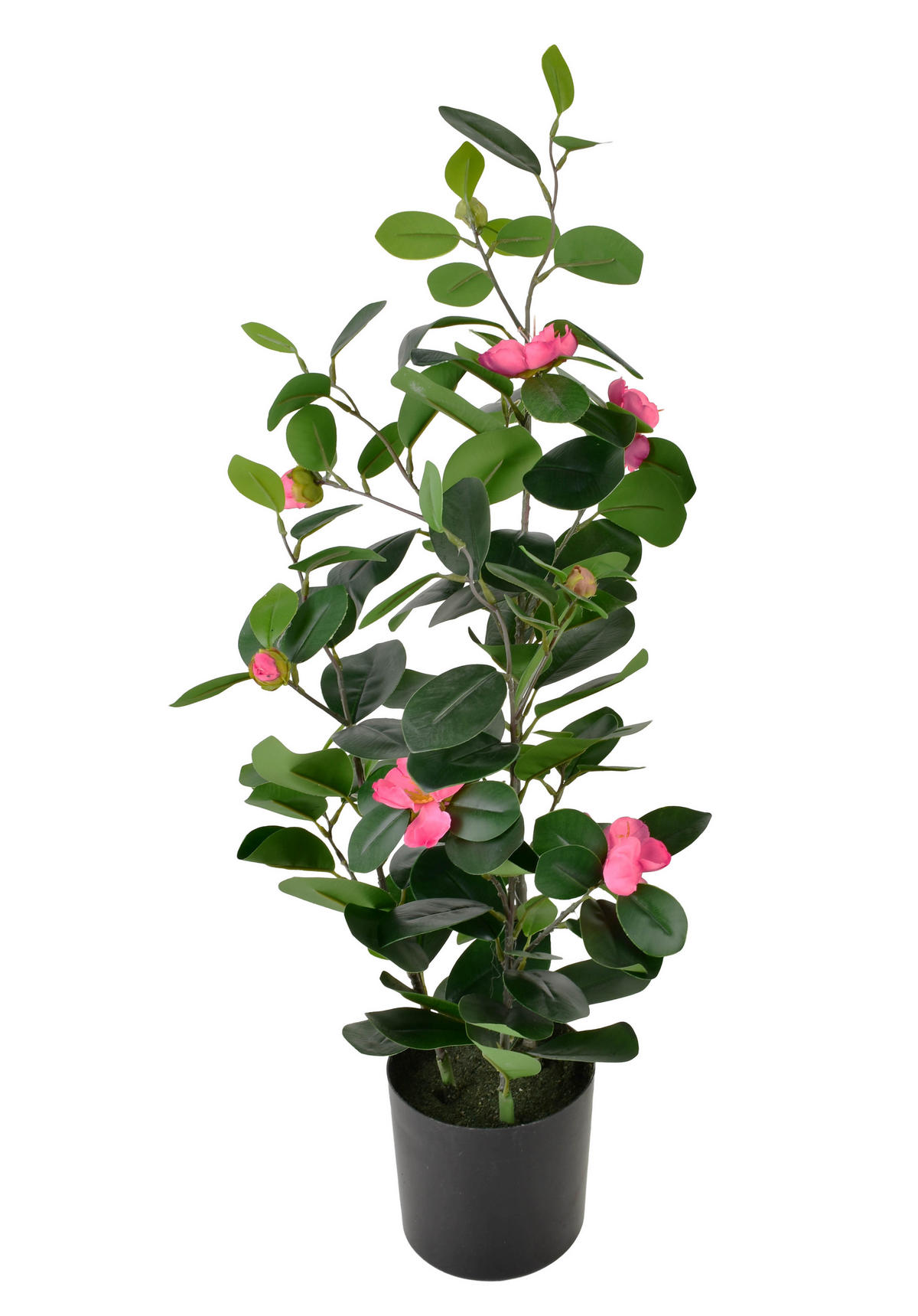 KUNSTBLUME Viridis grün 13/11/71 cm Kunststoff - Grün, Kunststoff (71cm) - Mondex